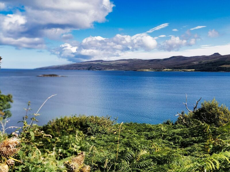 Wildstehen am Braes Beach