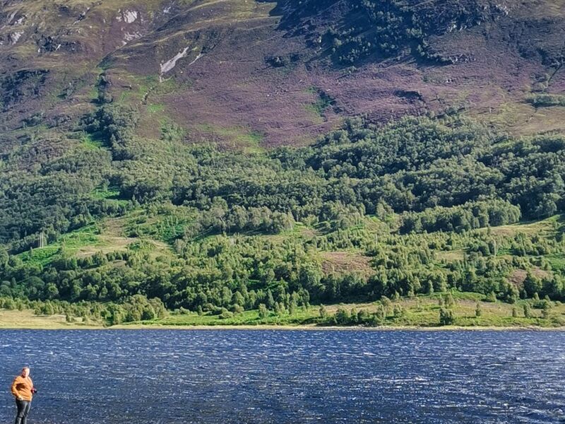 Kleine Iris, großer Berg