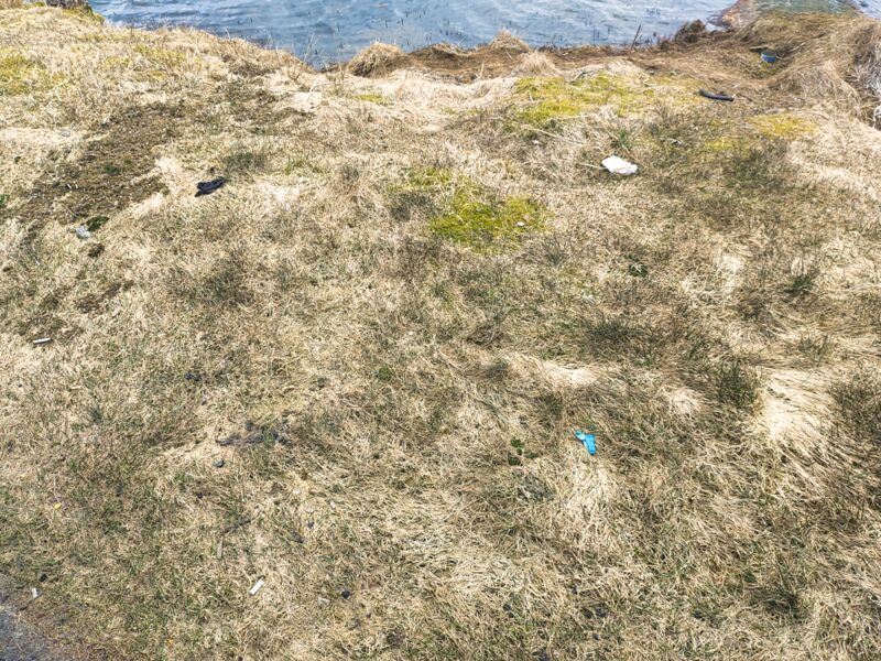 Vor dem Müllsammeln