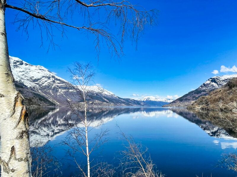 Schönblick auf den Fjord