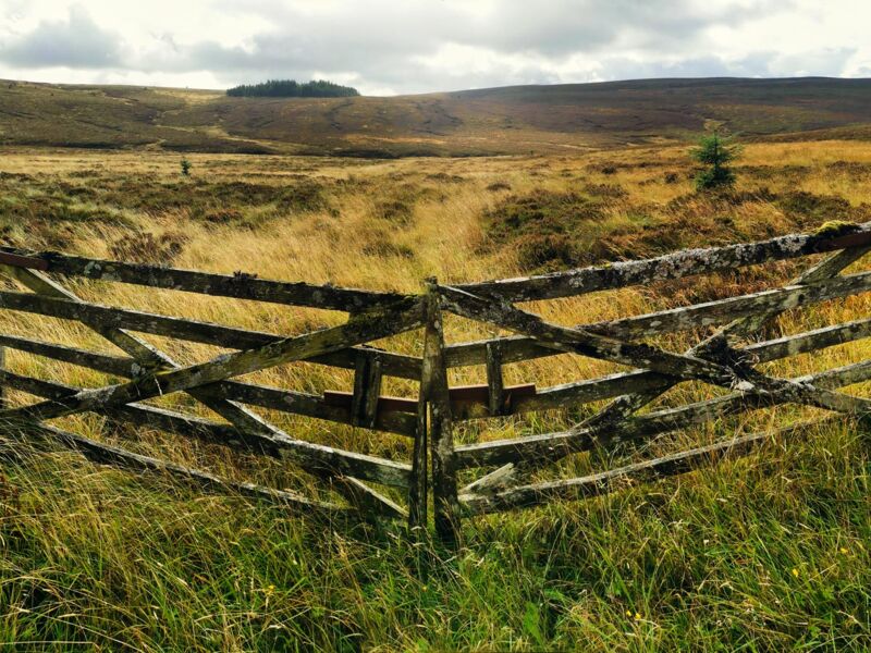 Kielder Forest Road