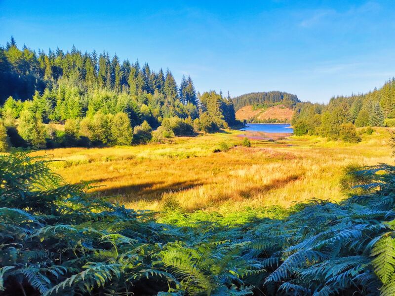Schlafplatz am Loch Drunkie
