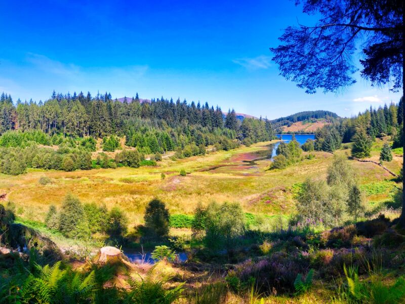 Three lochs forrest road