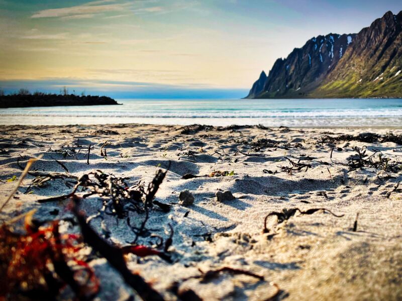 Abendsonne am Ersfjord