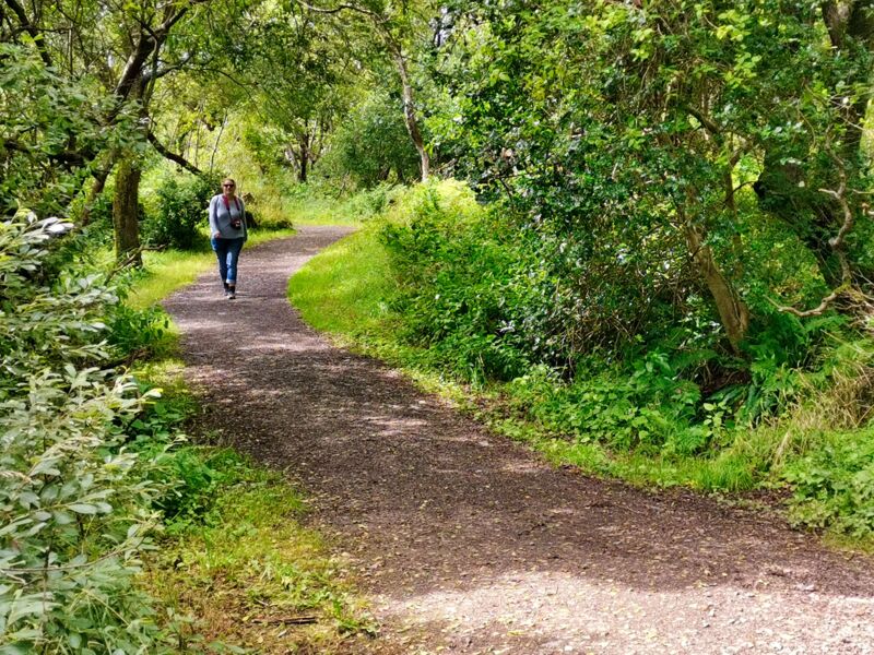 Im Caerlaverock Castle Wald
